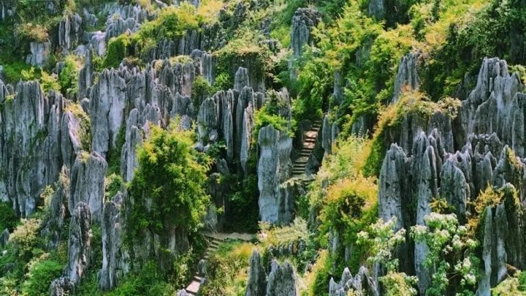 四川兴文县这两大景区2021年将向全国这群人全年免费开放!