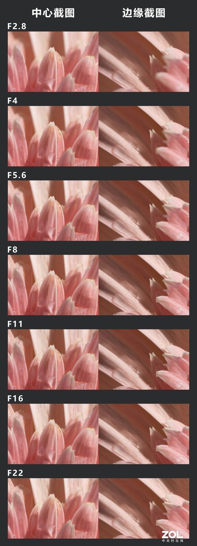RF系列新利器 佳能RF 100mm微距评测