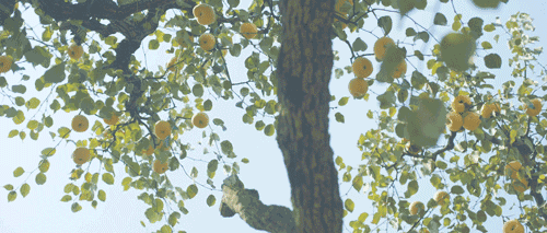 500_213gif 动态图 动图