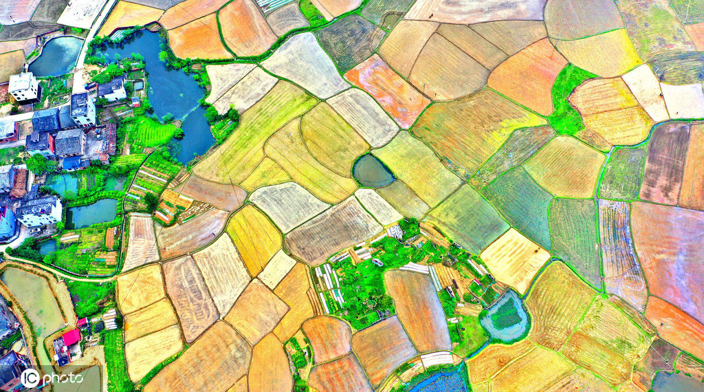 在江西省吉安市永丰县佐龙乡罗富村,从空中俯瞰春耕田园,色彩斑斓,风景如画。仲春时节,江西省吉安市永丰县风和日丽,当地农民抢抓晴朗天气投入水稻春耕春种生产。翻耕整理后的稻田色块交错似织锦,在春阳的映照下呈现大地韵律之美。