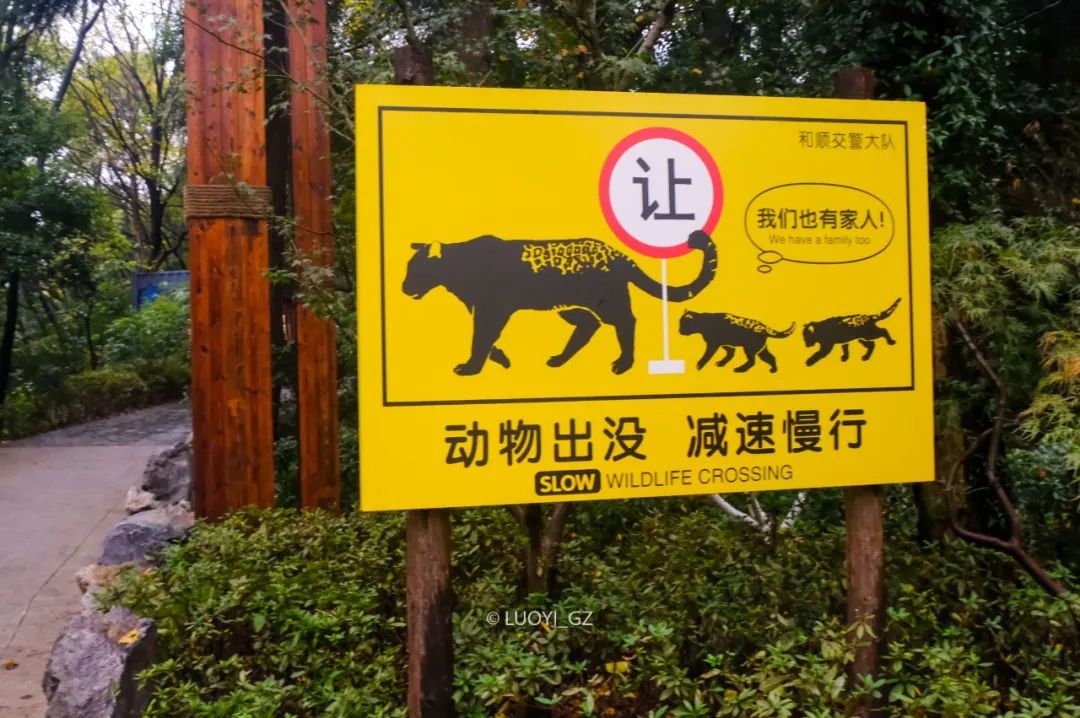 這家中國最好的動物園,在等著你去狠狠報復它