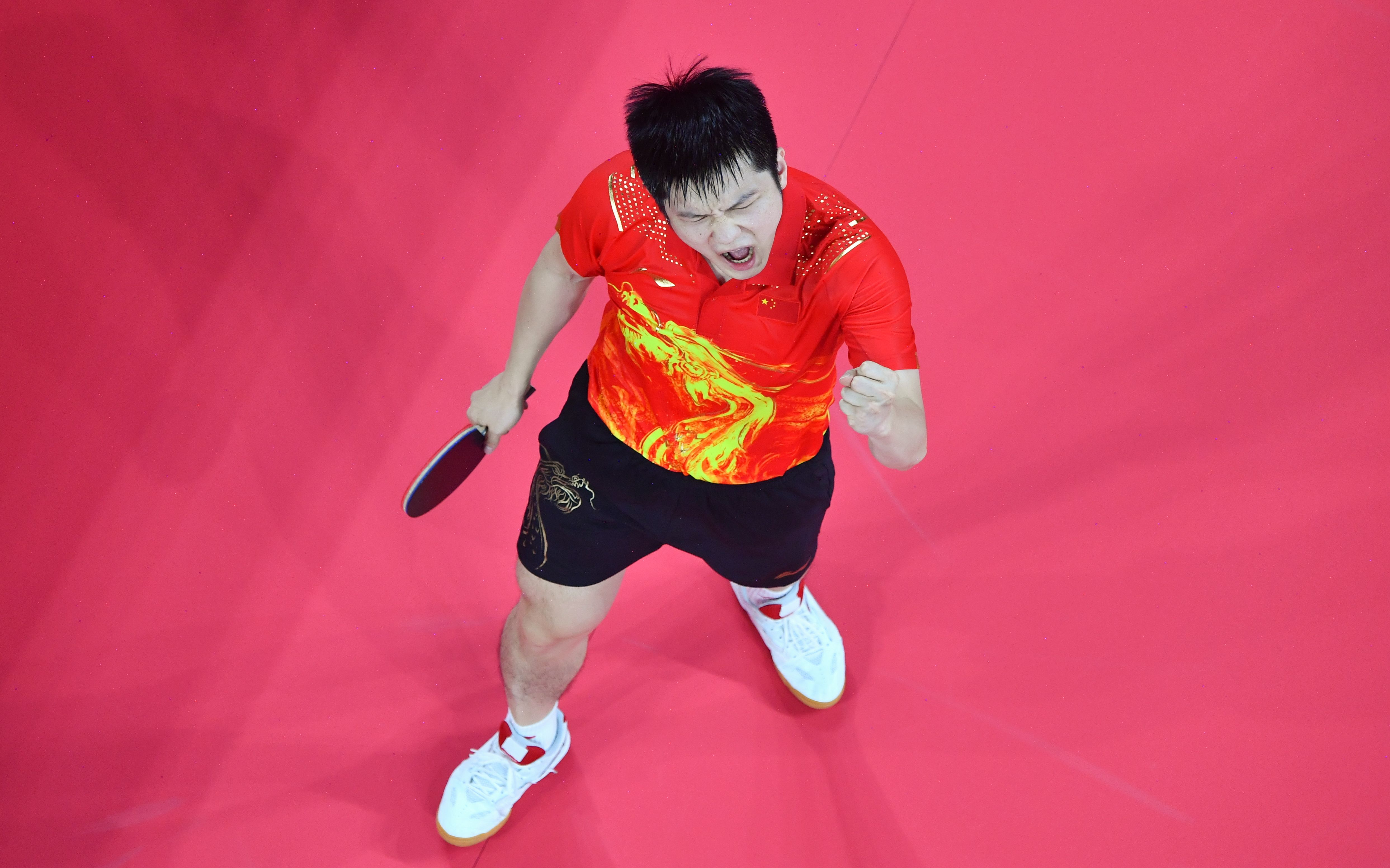 国乒男单也会师决赛了,樊振东,马龙明晚争冠__凤凰网