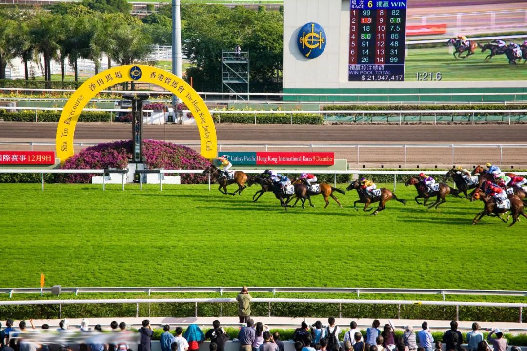 香港赛马会:化赌博为"神奇"