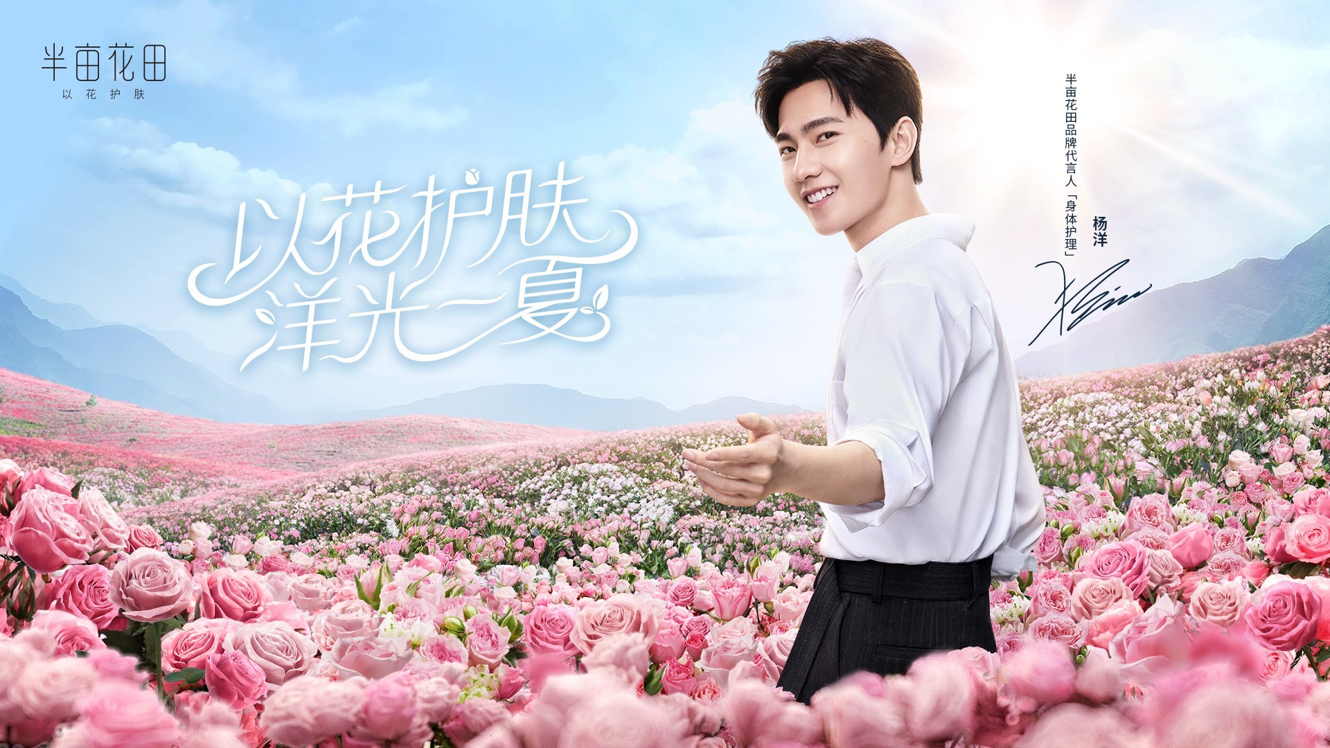 半亩花田的年度总结竟然只做了一件事