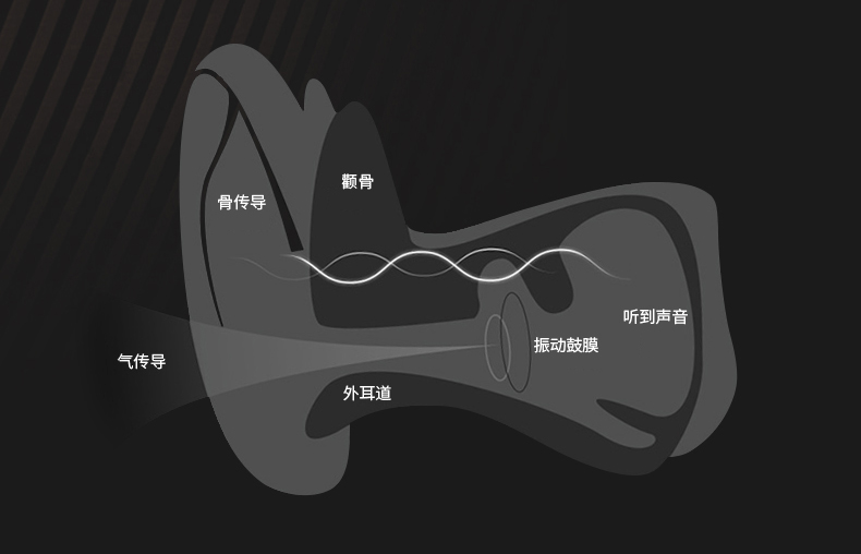 骨传导耳机结构图图片