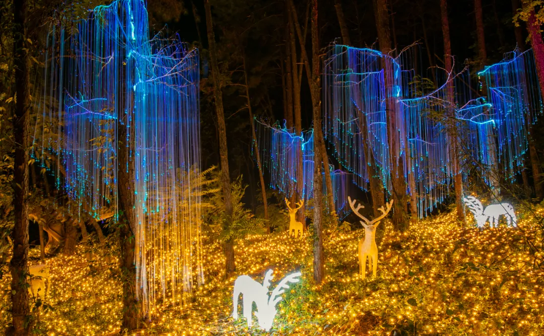 音乐,喷泉与水上表演融为一体,打造了奇幻侏罗纪,魔幻森林,梦幻时间