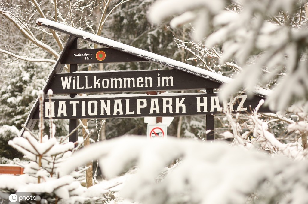 当地时间2021年11月27日,德国萨克森-安哈尔特,汽车驶过哈尔茨山区积雪覆盖的树干。在未来的几天里,雪线还会继续下降,低地地区也将下雪。