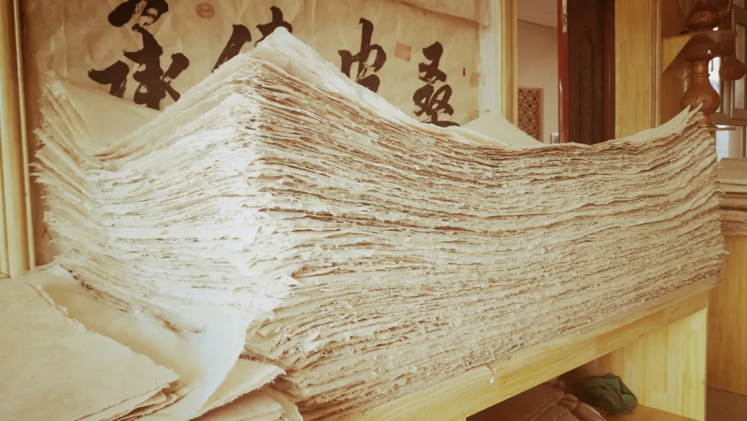 桑皮造纸恒久远,纸上丹青永流传,一张纯手工桑皮纸是这样做成的__凤凰网