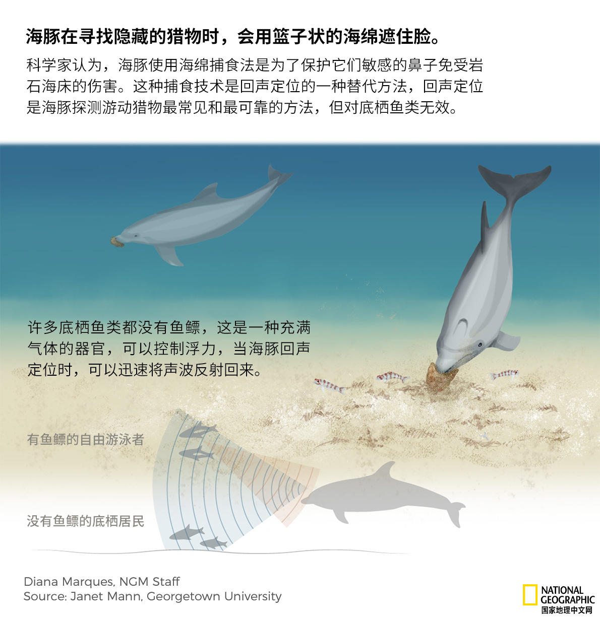 Taiji drops anchor on dolphin hunts despite increasing pressure | The ...