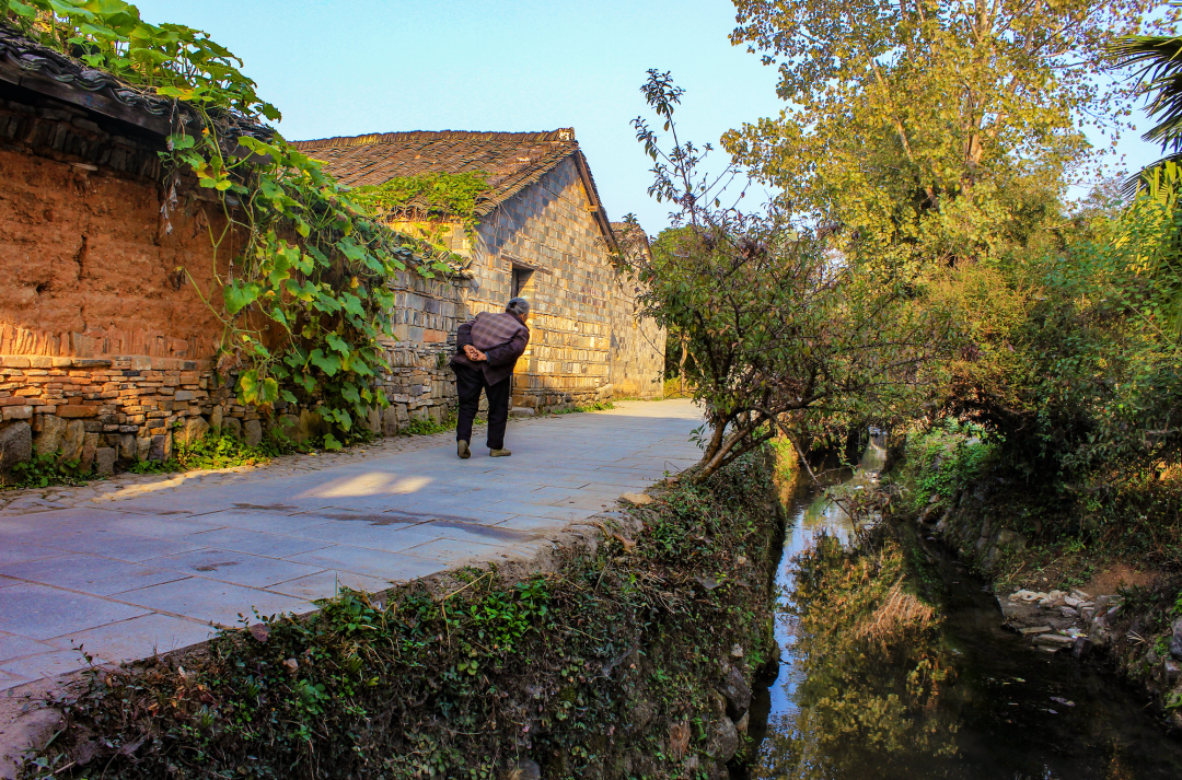 怎么看护瘫痪老人“我死了，没人认领我的遗体”：这种痛，1.1亿人正在经历_https://www.jmylbn.com_新闻资讯_第19张
