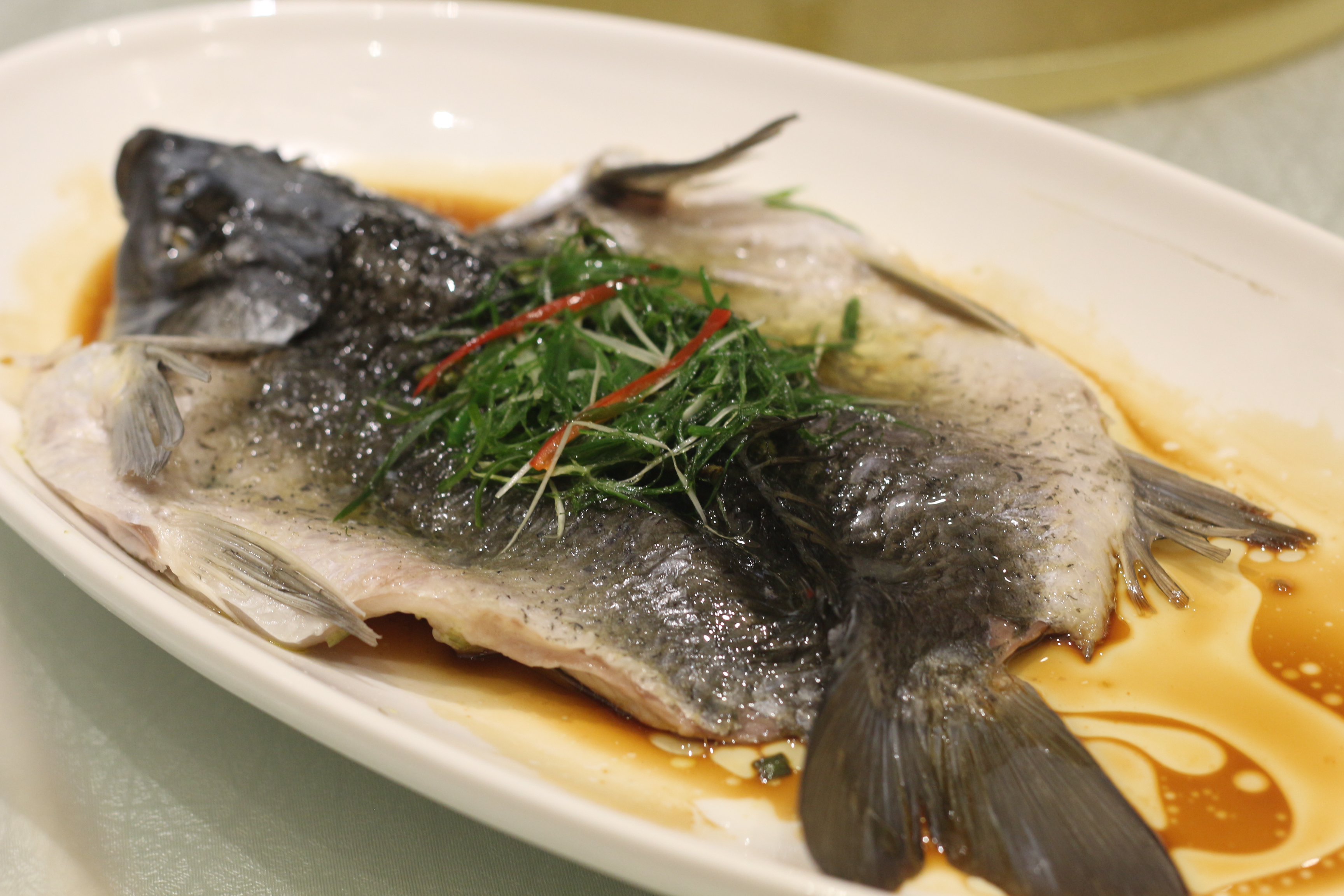 第502场美食美酒交流品鉴活动:鱼神酒楼 不止烹鱼