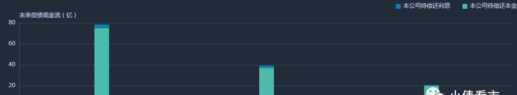 厦门国贸新增230亿借款 940亿债务压顶风险激增(图3)