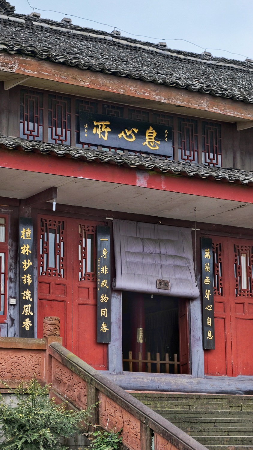 去息心所看珙桐的路上,满春如翡