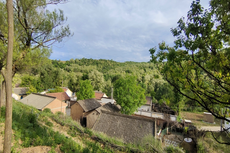 厚重的黄土与温润的夏日季风让这里山清水秀,龙门乡的代家沟村是该县