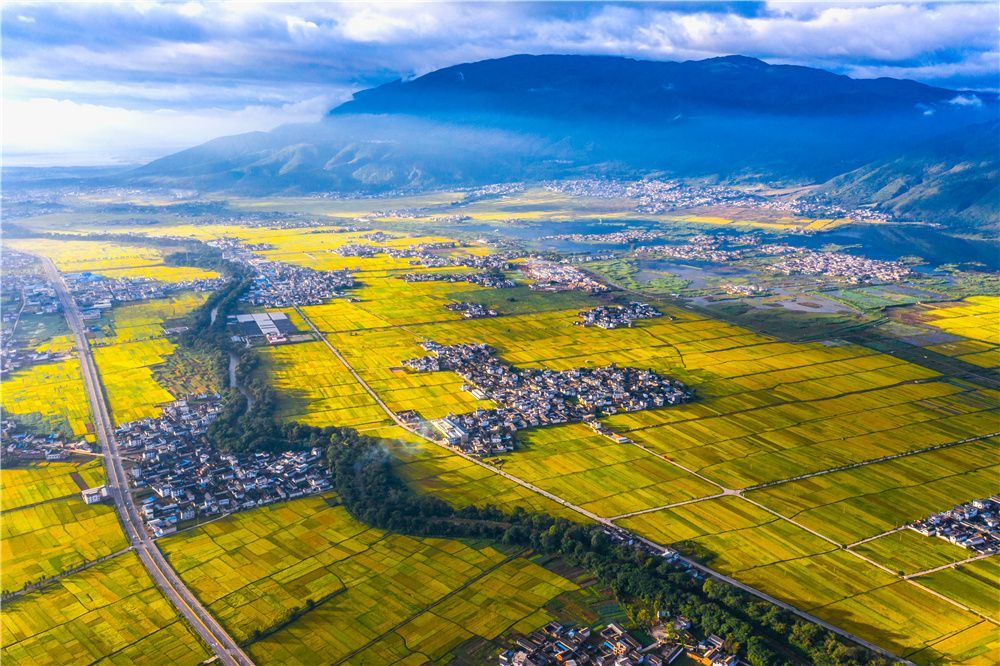 跟着时节游大理 一品时令美食__凤凰网