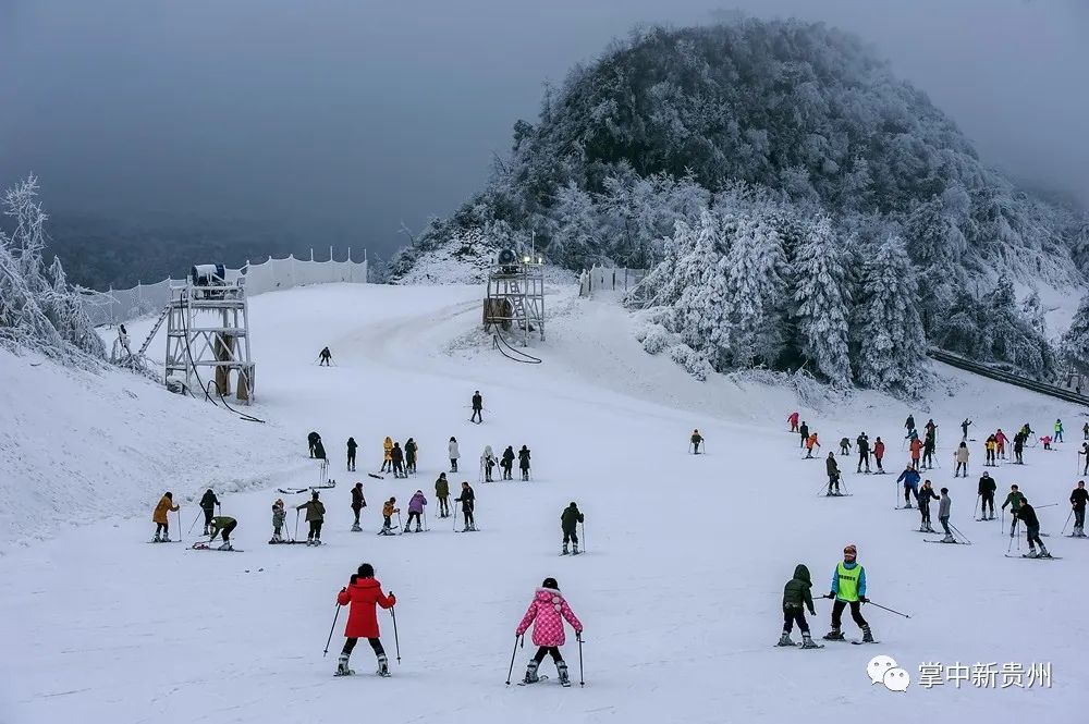 王岗坪滑雪场图片