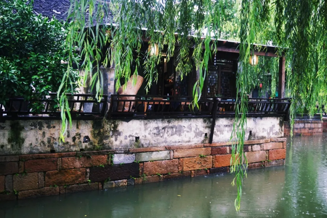 原创（赞美春雨的诗句）带雨的诗句 古诗 第1张