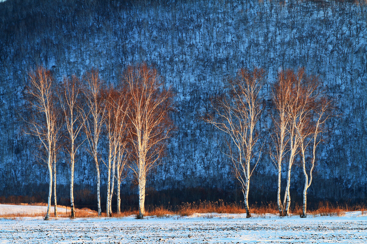 寻味内蒙古呼伦贝尔南屯牛排
