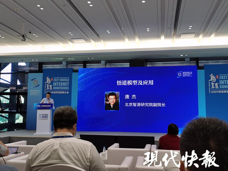 专家展示国产人工智能预训练模型:会作诗作画,还能回答股票问题