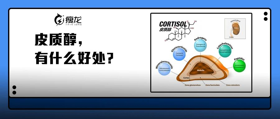 能不能瘦?皮质醇是什么?__凤凰网