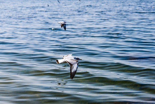 尼康微单Z7 II为何被称为风光摄影利器