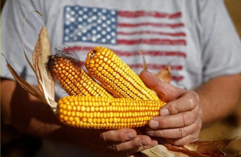 美国人为什么全世界最胖?美国政府的阴谋?