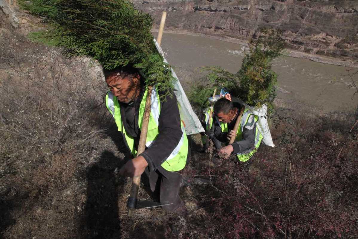 陕西延安:退耕还林二十余年 荒山"披绿衣"乡村"换新颜"