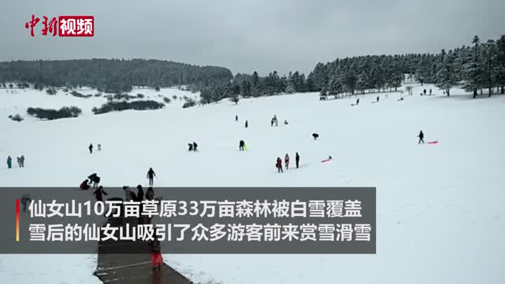 重庆仙女山迎近十年来最大降雪