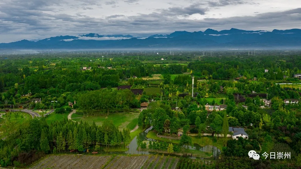 严家弯湾生态区域为核心,新建上千亩"崇州·枫林晚"和"梅花三弄"景区