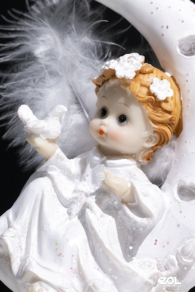 RF系列新利器 佳能RF 100mm微距评测