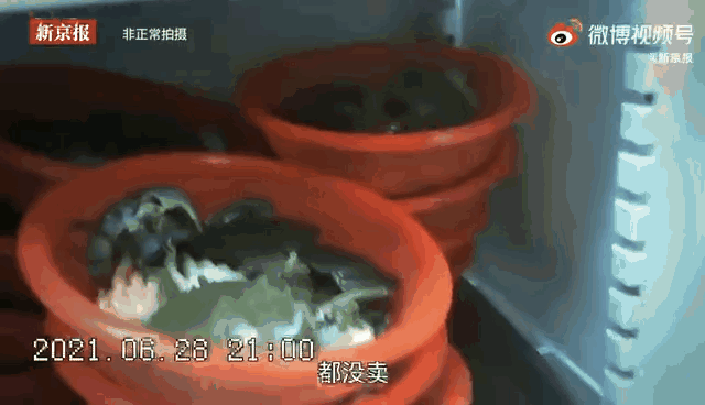 “胖哥俩”被曝卖隔夜死蟹 市场监管部门立案调查(图2)