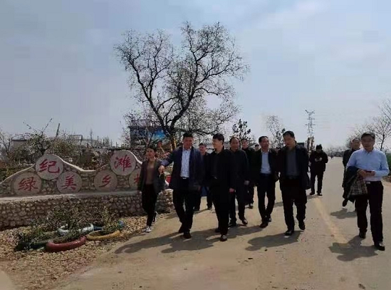 纷纷,草长莺飞四月天的季节,在江苏省新沂市港头镇港头村老墨河大堤上