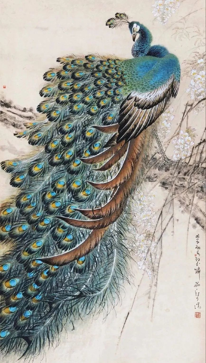 飞凤玉凰下凡来:五大名家画孔雀_凤凰网