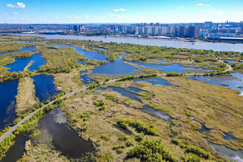 这是10月4日拍摄的哈尔滨市阿勒锦岛国家级湿地公园景色（无人机照片）。新华社记者 张涛 摄