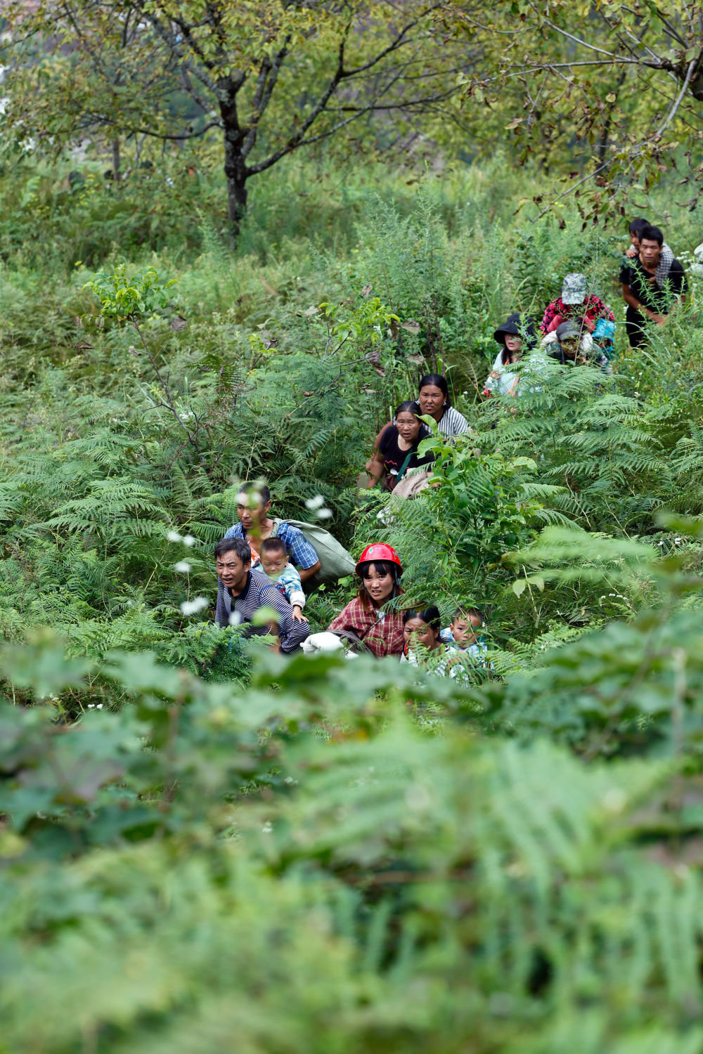 9月6日，得妥镇湾东村村民正在向外转移。新华社记者 沈伯韩 摄