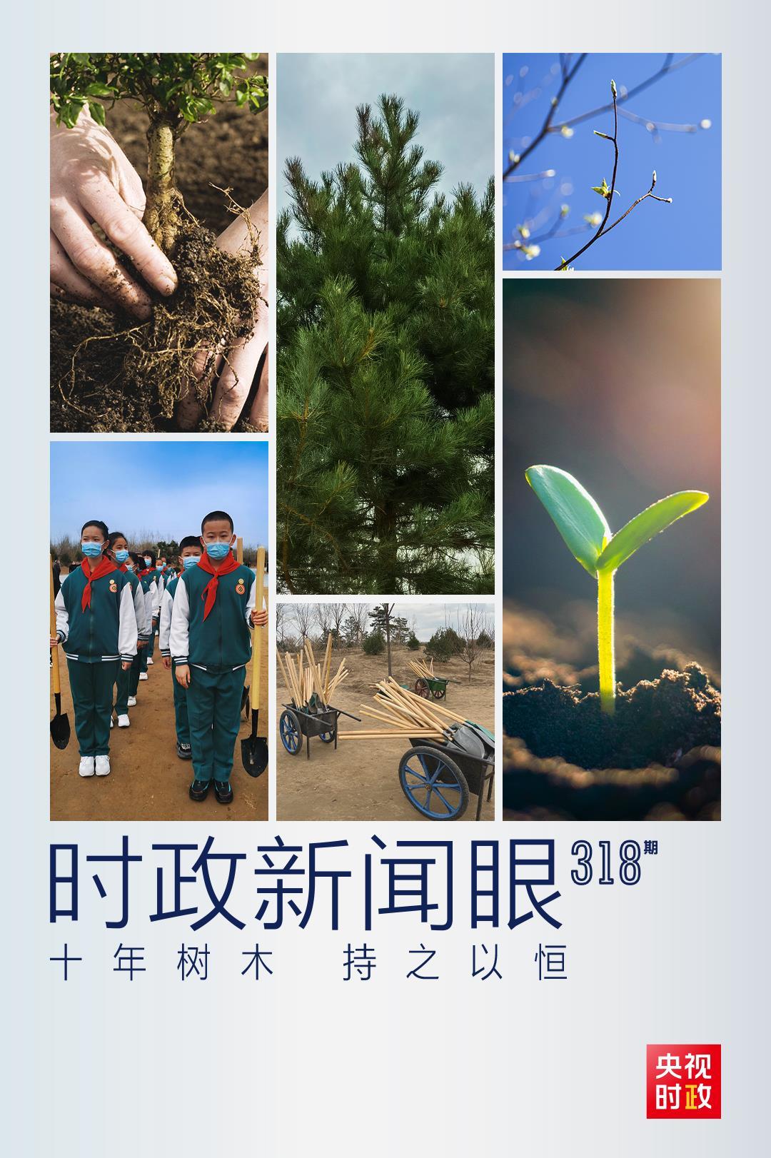 时政新闻眼丨连续10年参加首都义务植树，习近平发出这样的号召