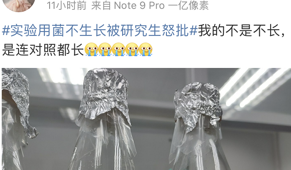 上辈子造孽 这辈子读研做实验