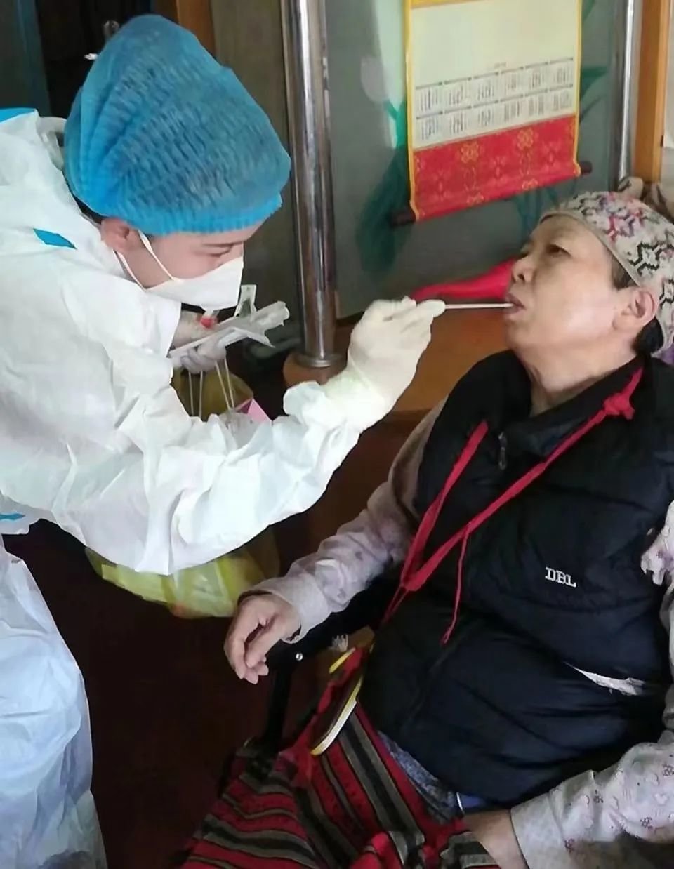 2021年8月开始,雪晴走路越来越不稳当,工作人员会上门为雪晴做核酸。有时,雪晴咬着采集棍,曹连营给她剥了一颗大白兔牛奶糖塞进嘴里,才松口。受访者供图
