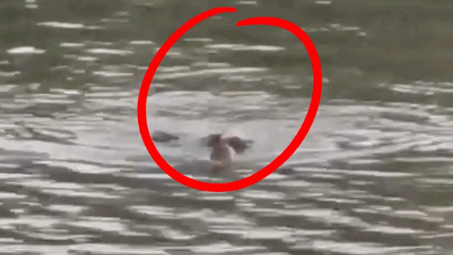 救人×12,这个民警太牛了