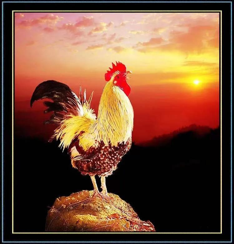 【行走河南·读懂中国】一唱雄鸡天下白,带你领略鸡文化 __凤凰网