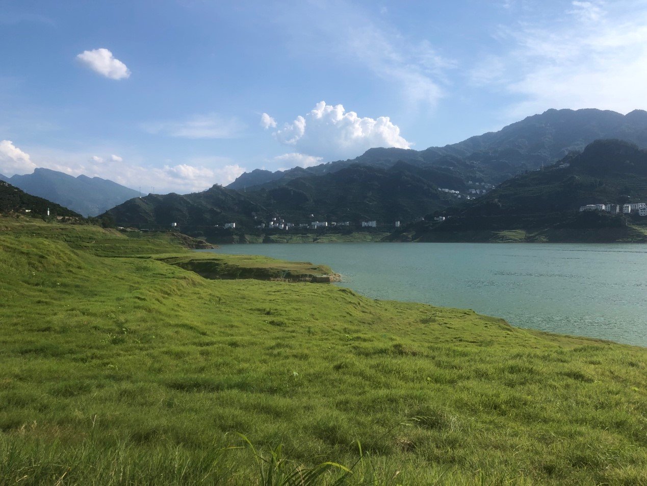 经过治理,消落区已被绿油油的草坪覆盖。
