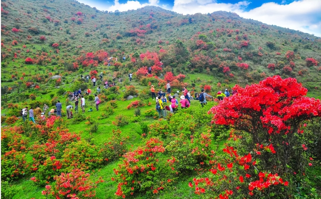 級旅遊度假區廣東天露山旅遊度假區位於中國