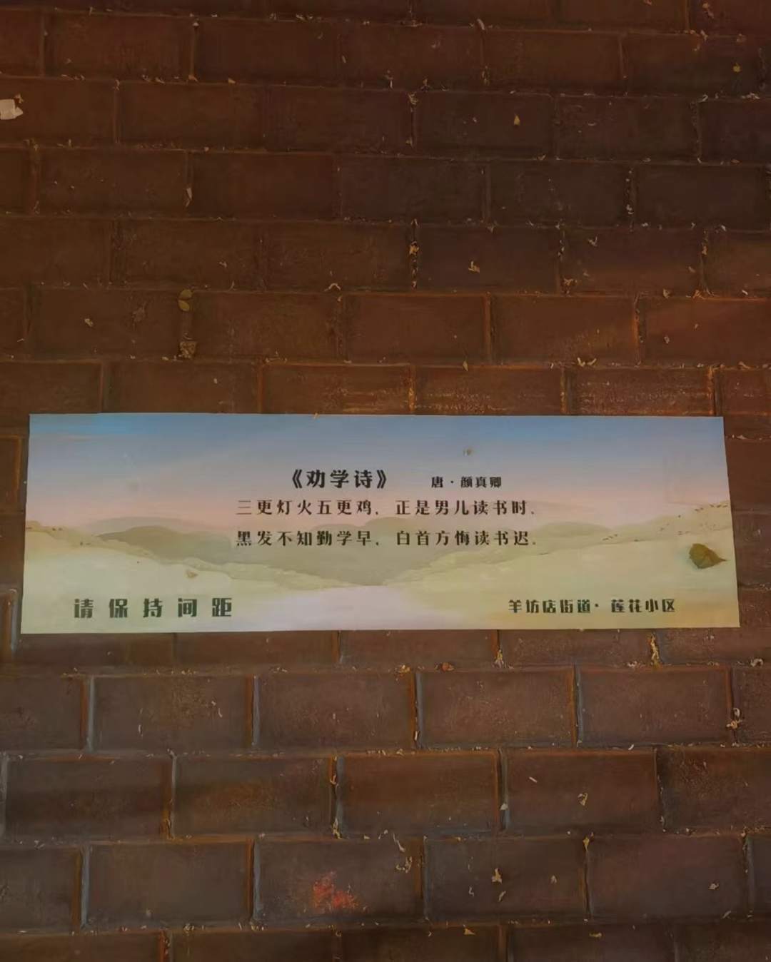 测核酸还能读诗词！北京高中生制作古诗词2米间隔线