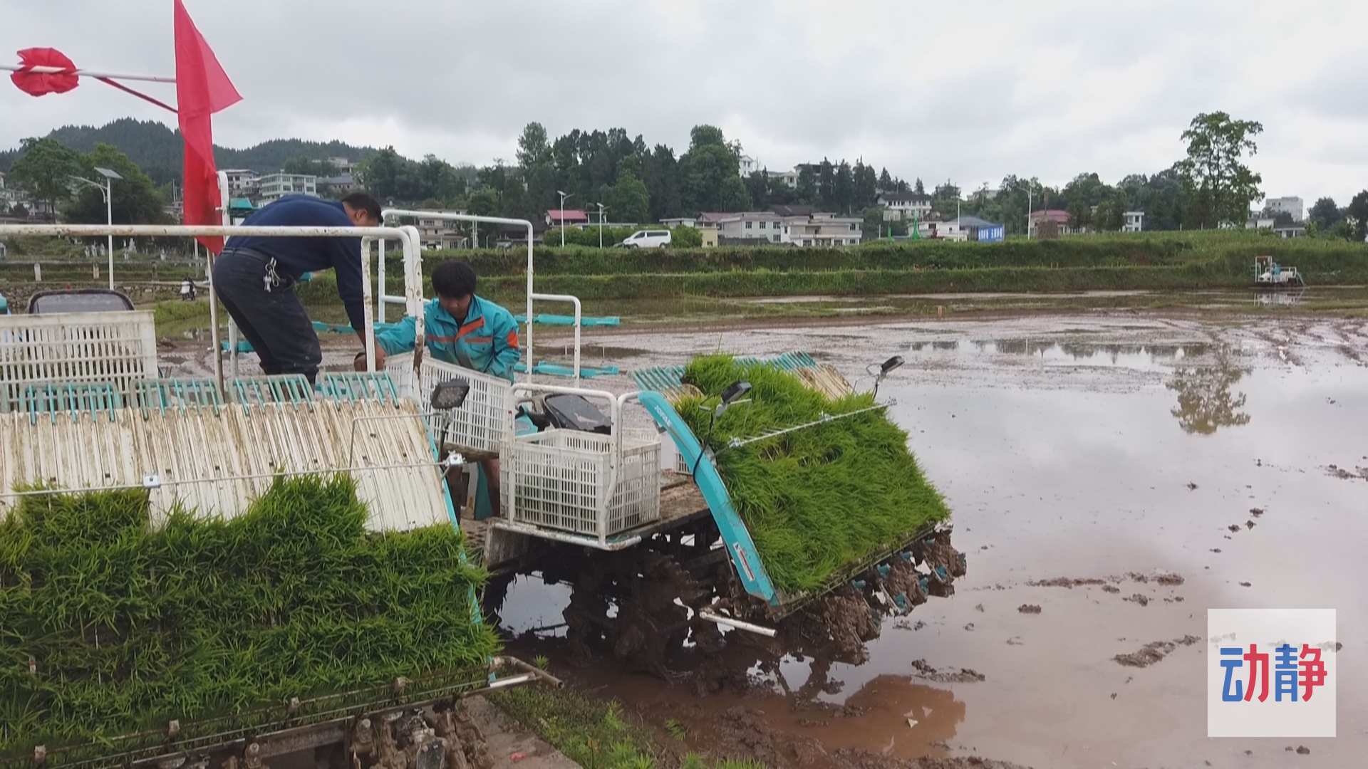 大国“粮”策丨贵州农业生产托管探索种地新模式