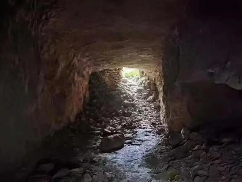 他们曾为丧尸和末日来临做过准备,如今这样应对疫情