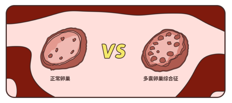 墙裂推荐（怀孕恶搞小妙招）怀孕搞笑的说说心情短语 第2张