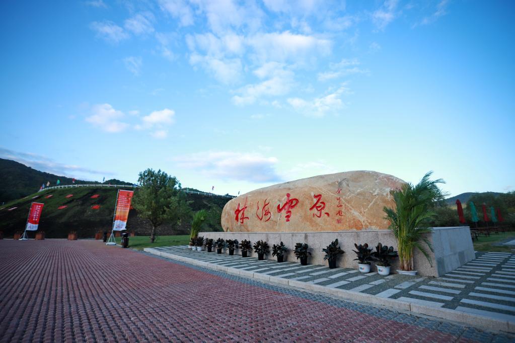 这是黑龙江省海林市林海雪原风景区(2021年8月30日摄).