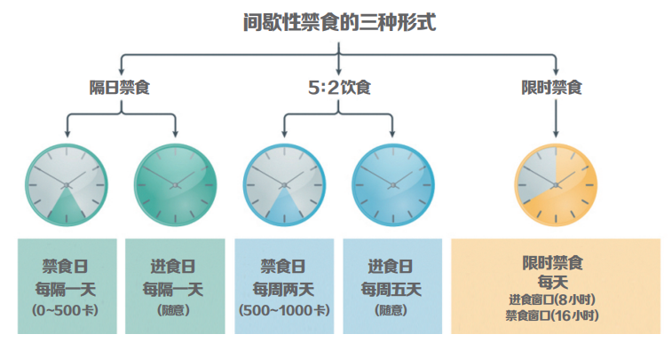 间歇性禁食到底能减肥吗?更适合哪些人群?来看看这项荟萃分析吧_凤凰网