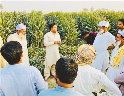 在巴基斯坦旁遮普省巴哈瓦尔布尔，穆罕默德·阿里·拉扎（中）在向村民介绍玉米—大豆带状复合种植技术。穆罕默德·阿里·拉扎供图