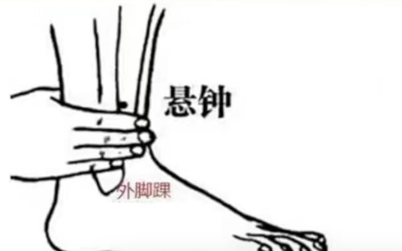 悬钟穴 图片来自网络